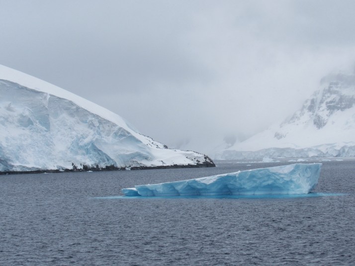 Contrasting ice colours