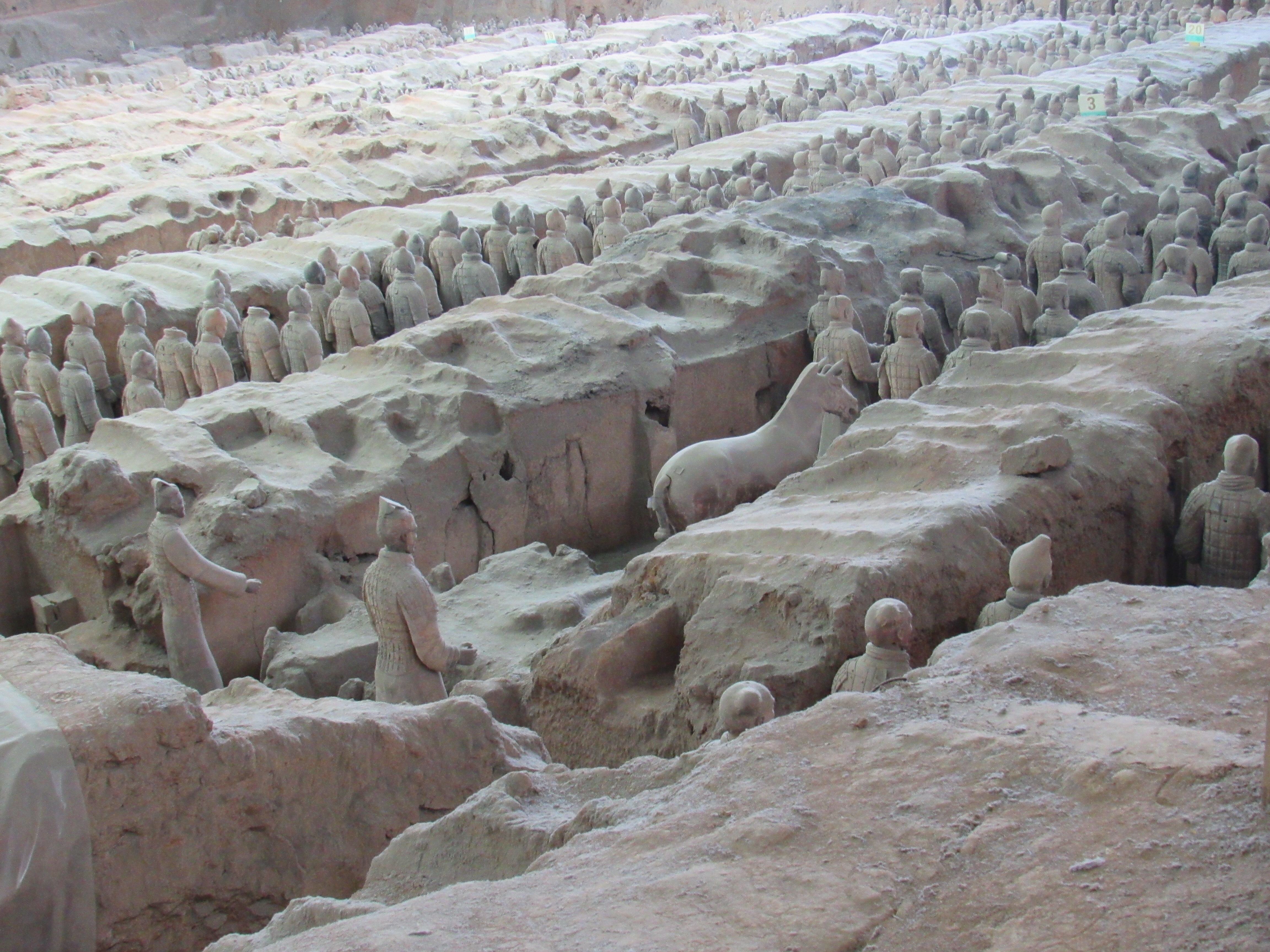 Rows of terracotta warriors